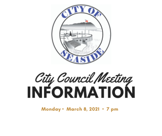 City Council Information Graphic